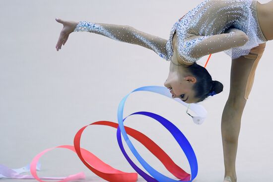 Художественная гимнастика. Этап Кубка вызова. 