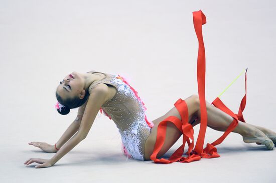 Художественная гимнастика. Этап Кубка вызова. 