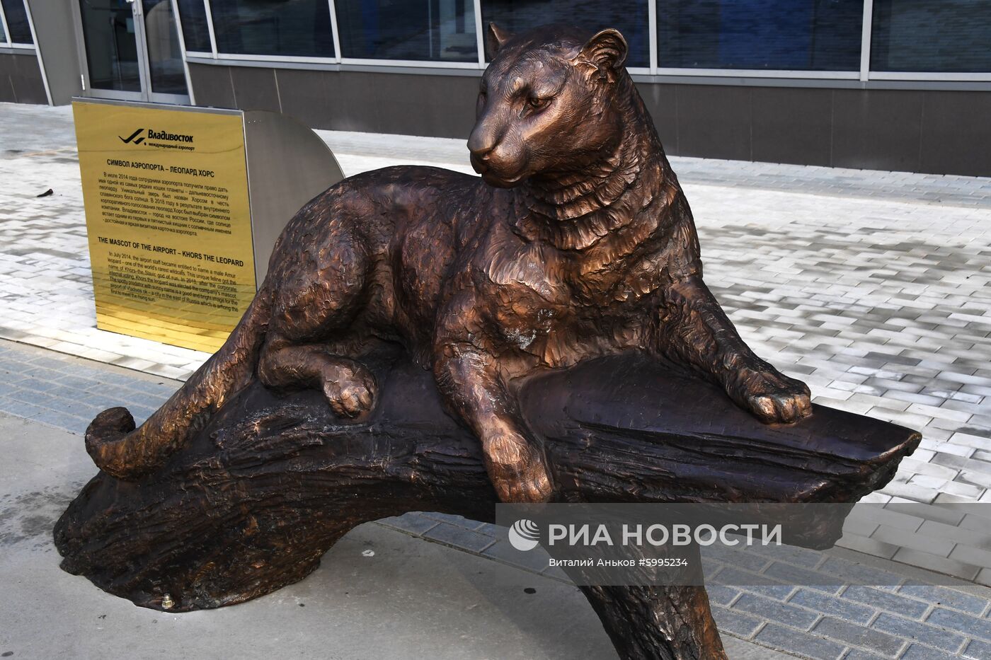 Подготовка к ВЭФ