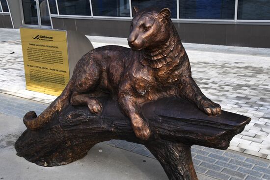 Подготовка к ВЭФ