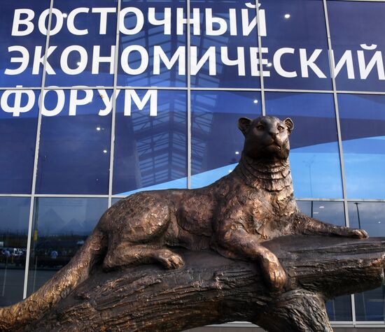 Подготовка к ВЭФ