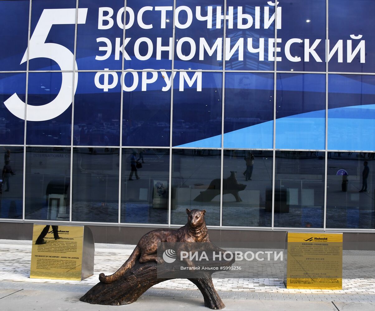 Подготовка к ВЭФ