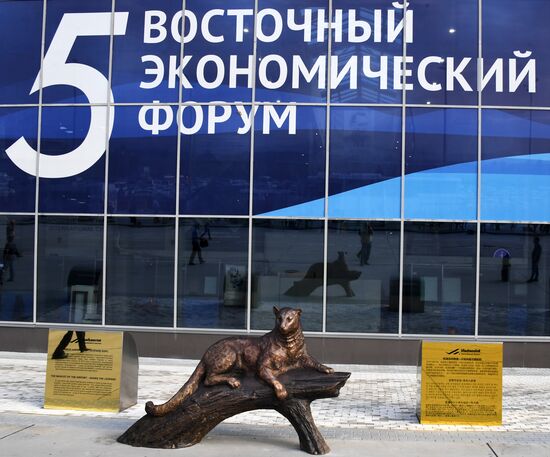 Подготовка к ВЭФ