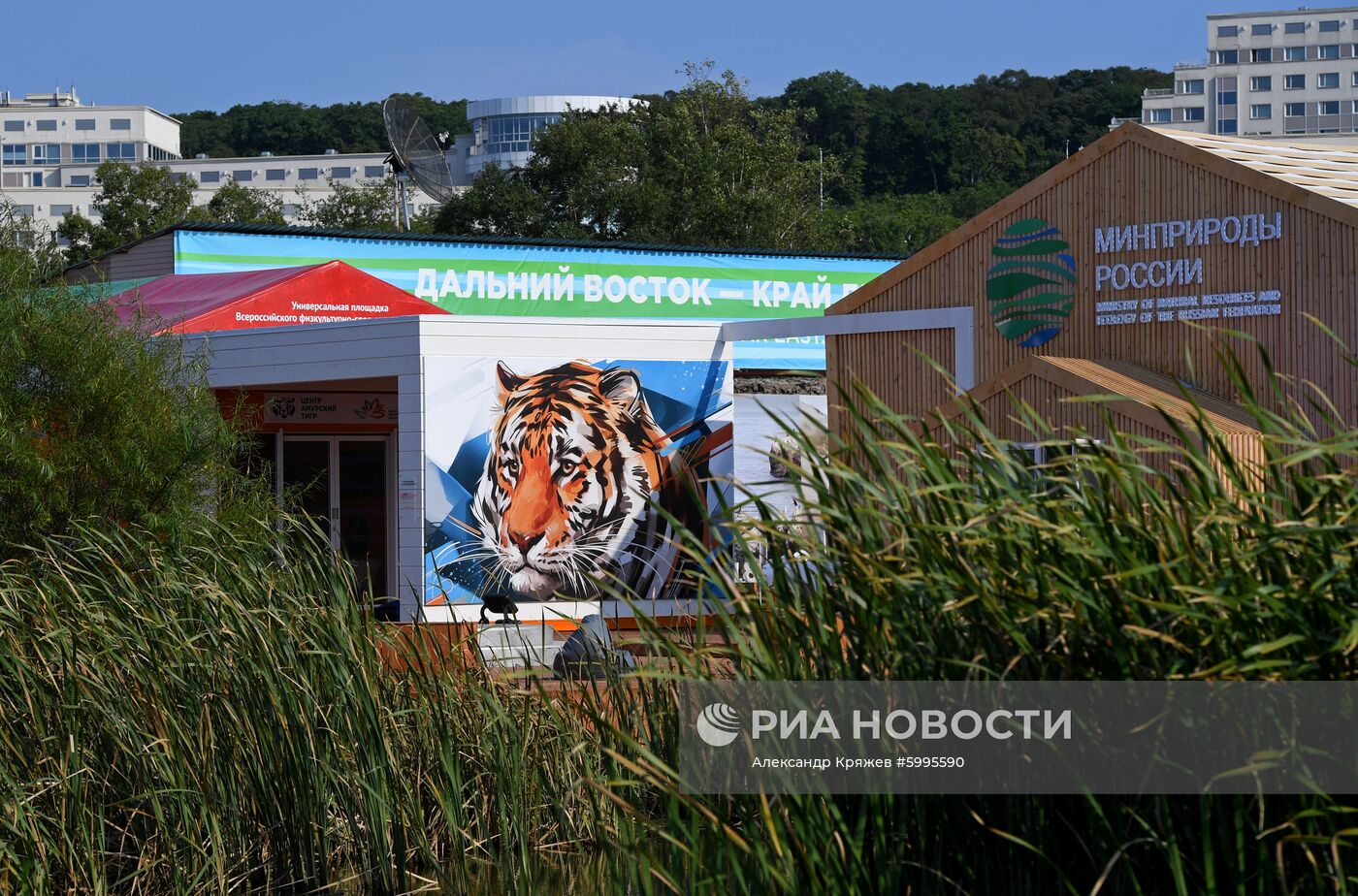 Подготовка к Восточному экономическому форуму