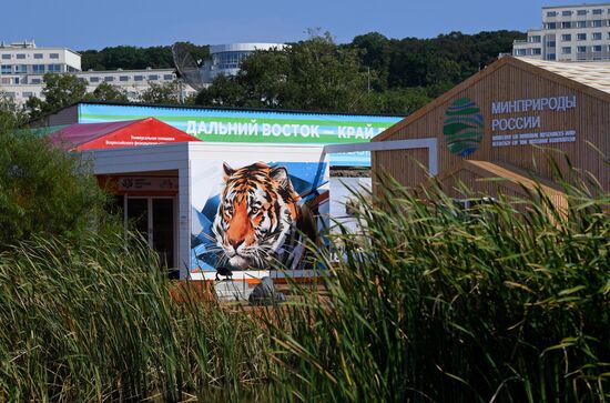 Подготовка к Восточному экономическому форуму