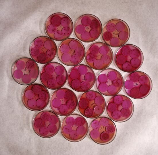 Академия коммунального хозяйства им. К. Д. Памфилова