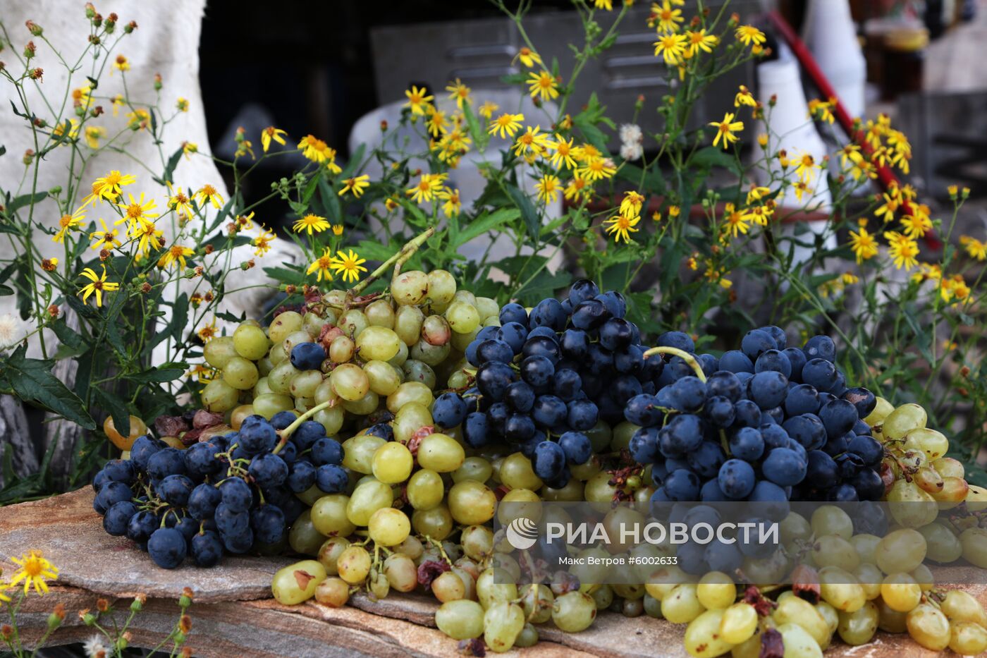 Праздник винограда в Крыму