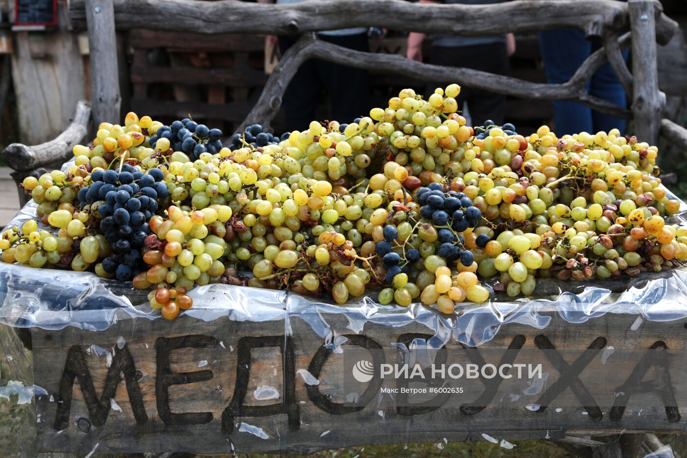 Праздник винограда в Крыму