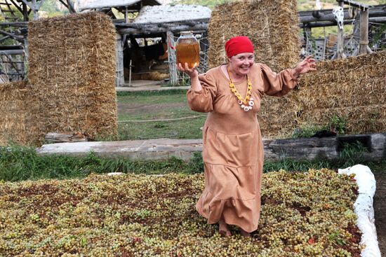 Праздник винограда в Крыму