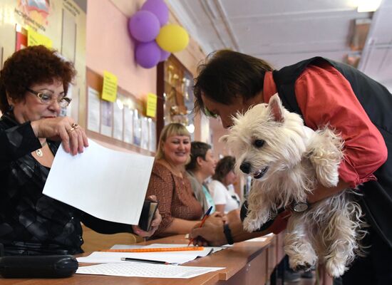 Единый день голосования в регионах России