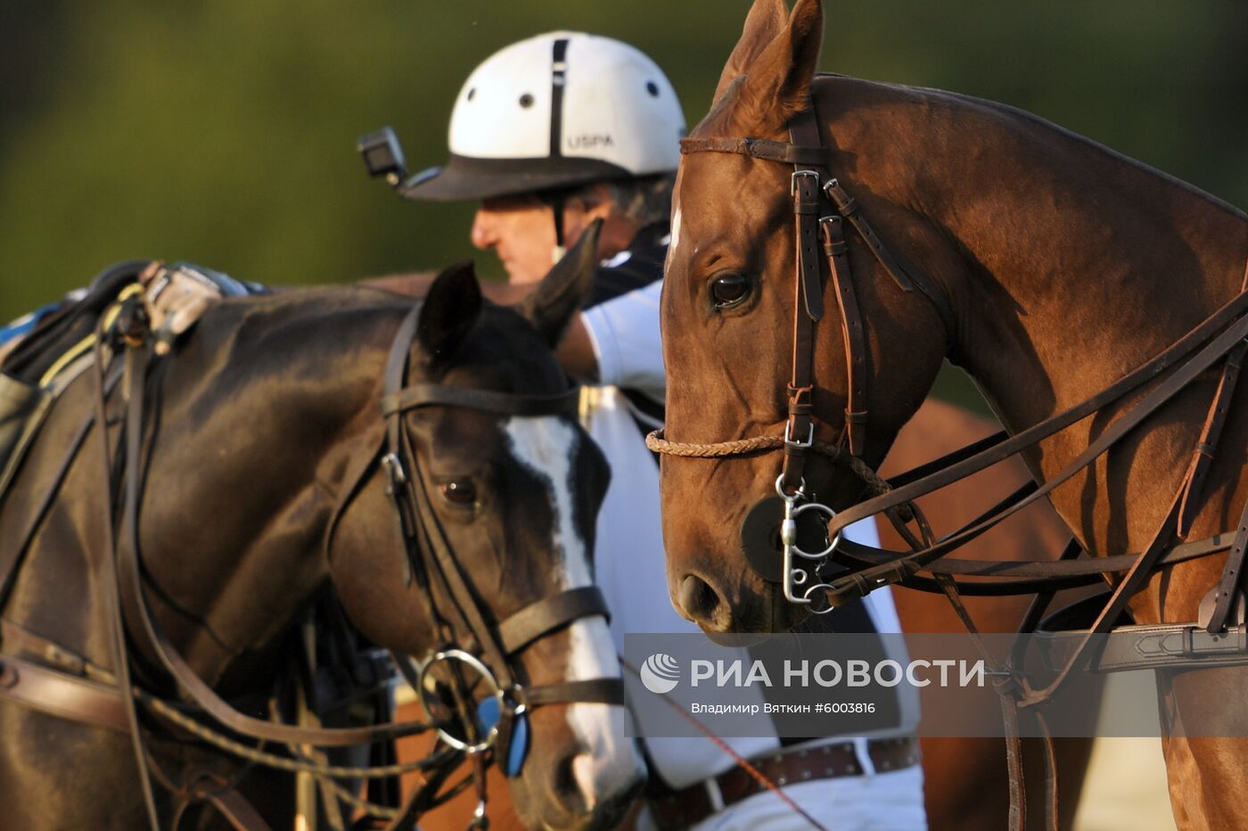 Конное поло. XIV Открытый чемпионат России