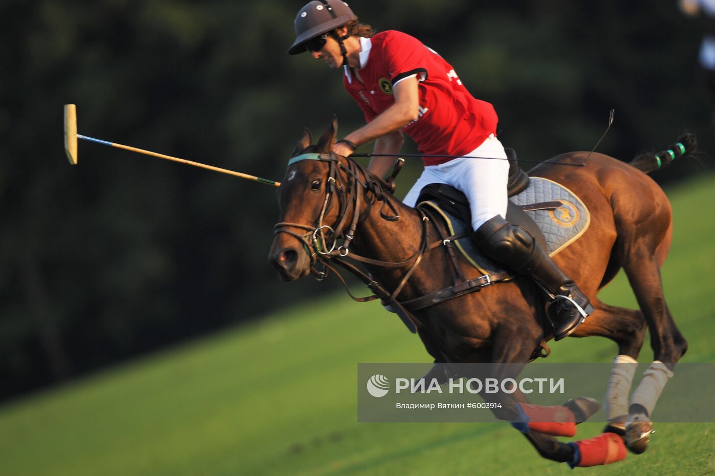 Конное поло. XIV Открытый чемпионат России