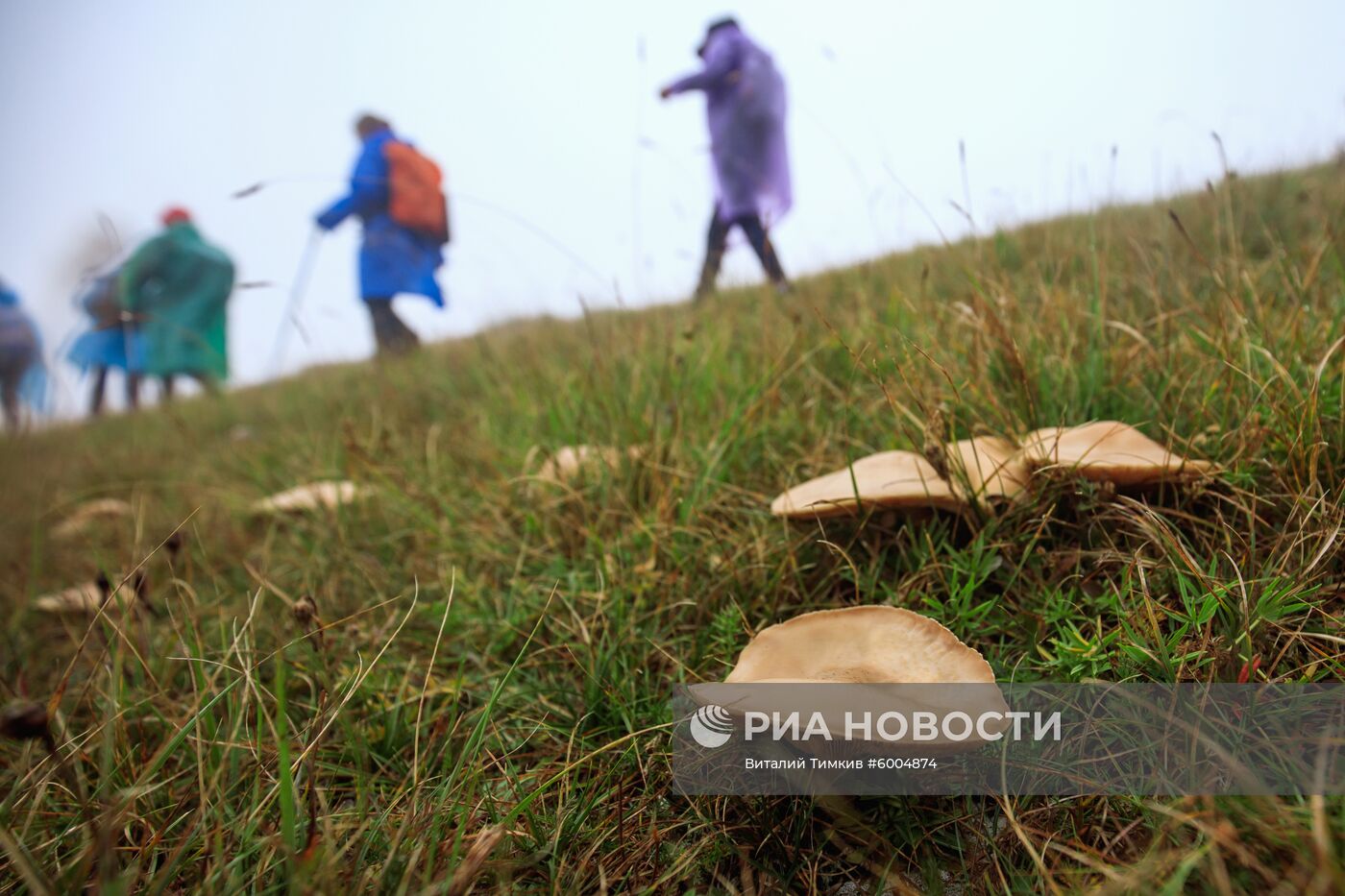 Кавказский государственный природный биосферный заповедник