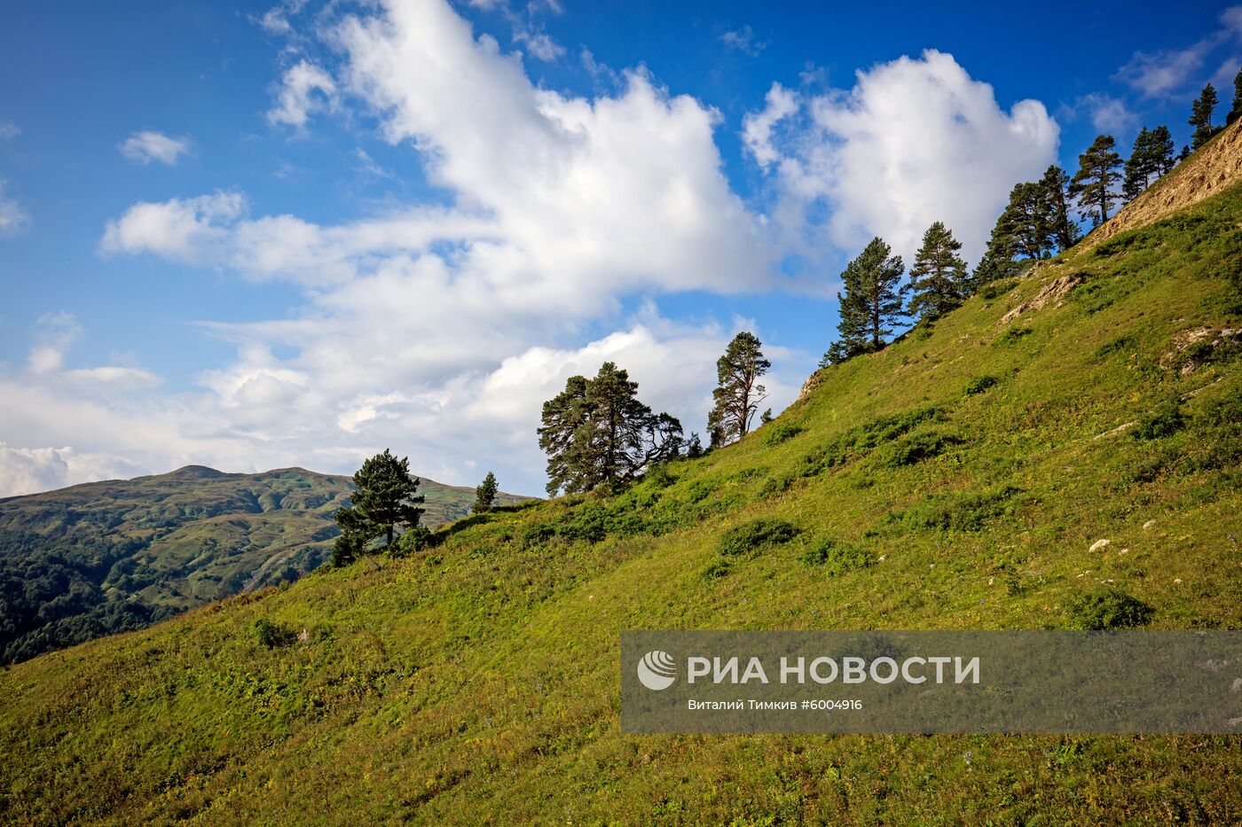 Кавказский государственный природный биосферный заповедник