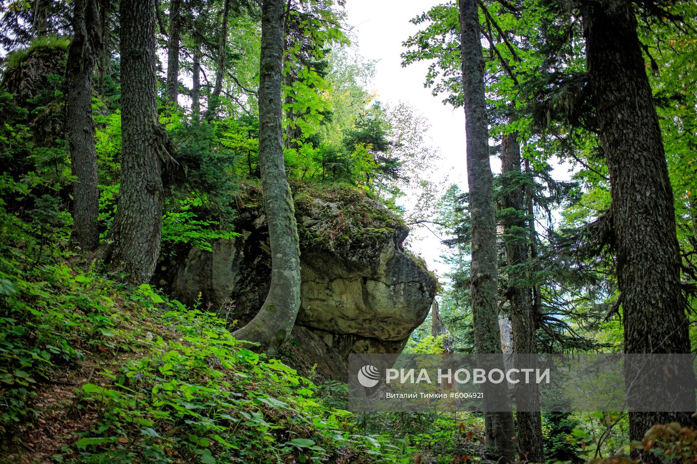 Кавказский государственный природный биосферный заповедник