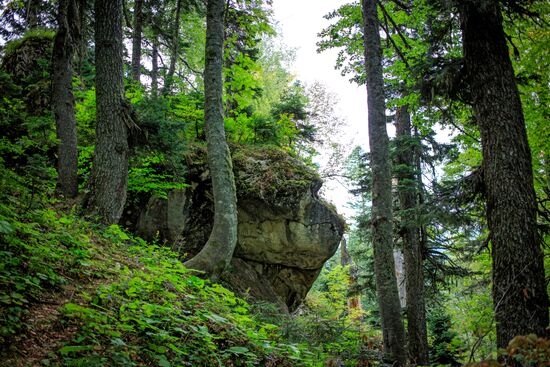 Кавказский государственный природный биосферный заповедник