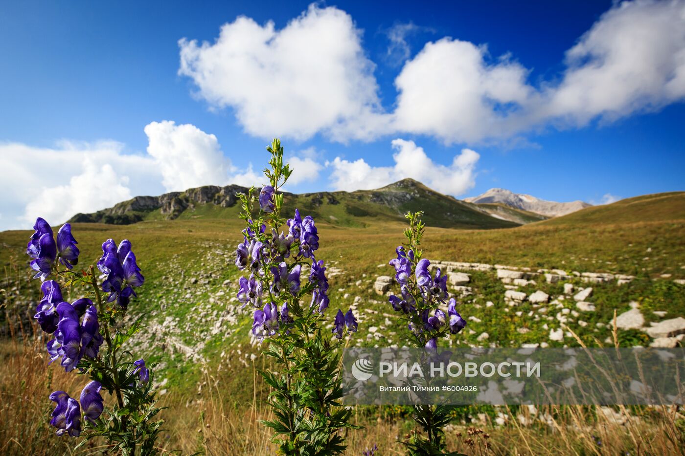 Кавказский государственный природный биосферный заповедник