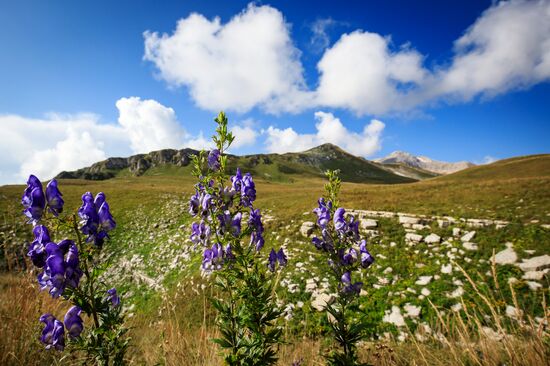 Кавказский государственный природный биосферный заповедник