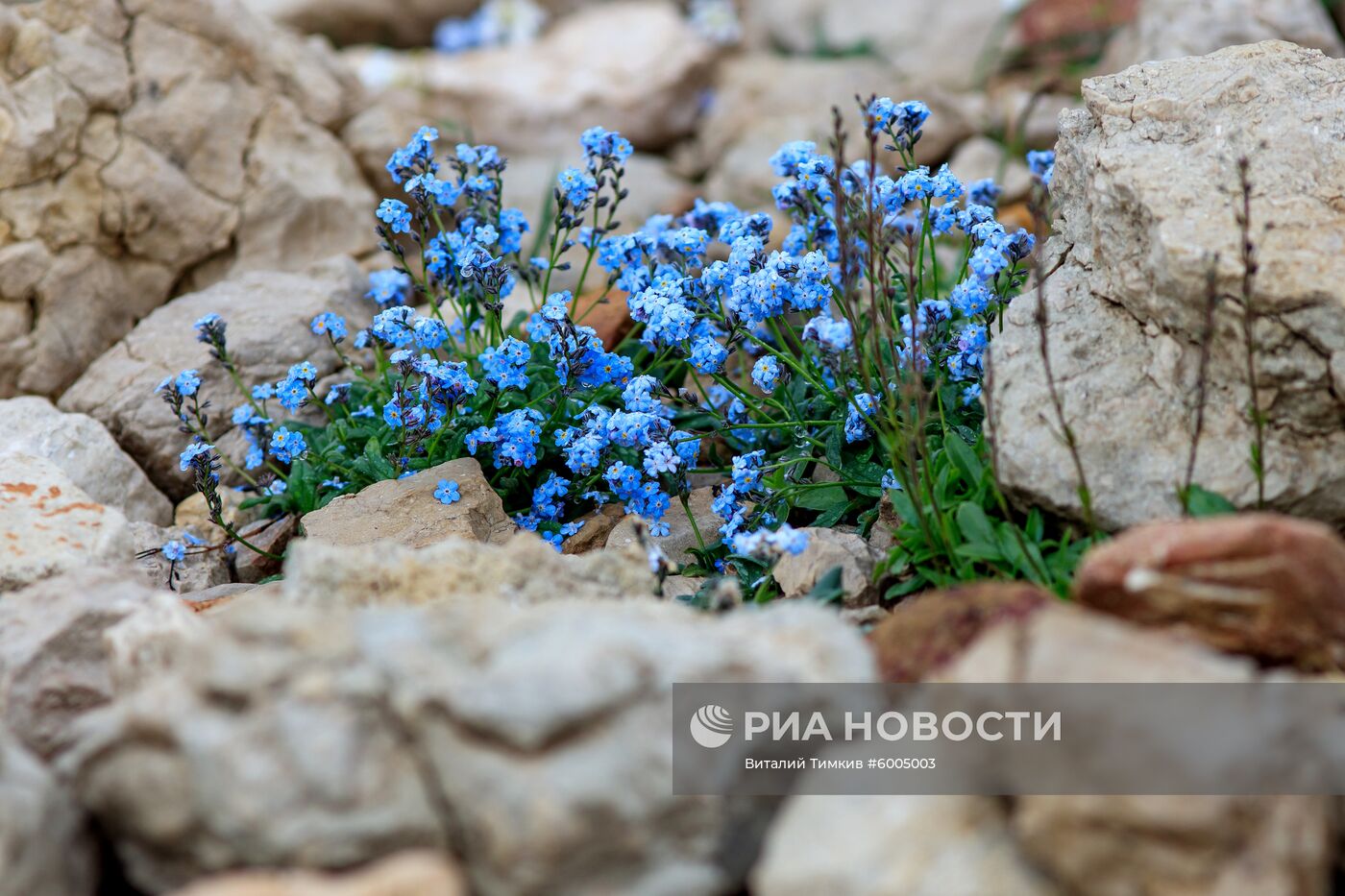 Кавказский государственный природный биосферный заповедник