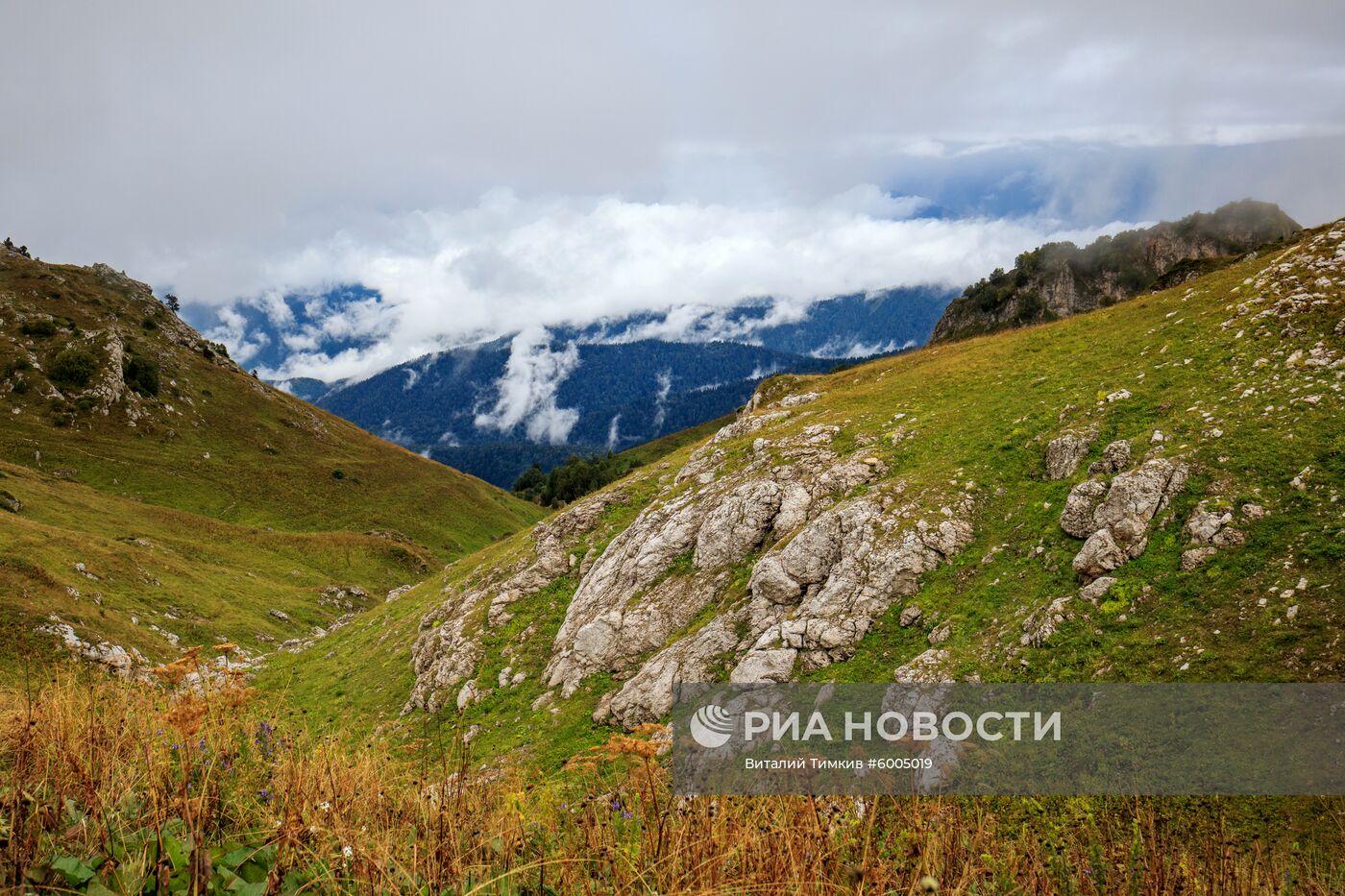 Кавказский государственный природный биосферный заповедник