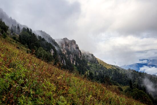 Кавказский государственный природный биосферный заповедник