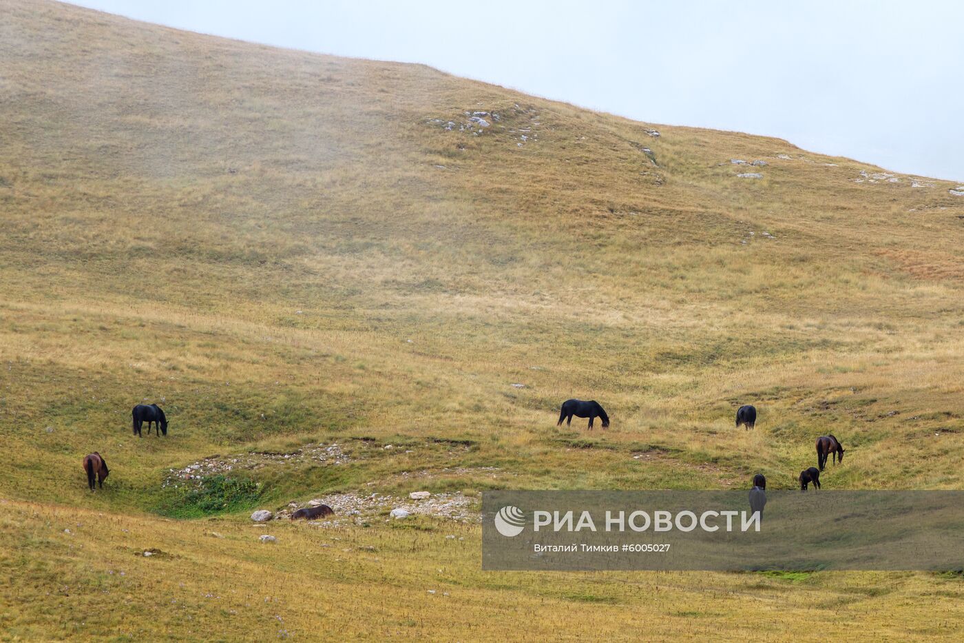 Кавказский государственный природный биосферный заповедник