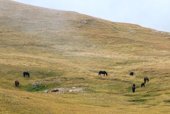 Кавказский государственный природный биосферный заповедник