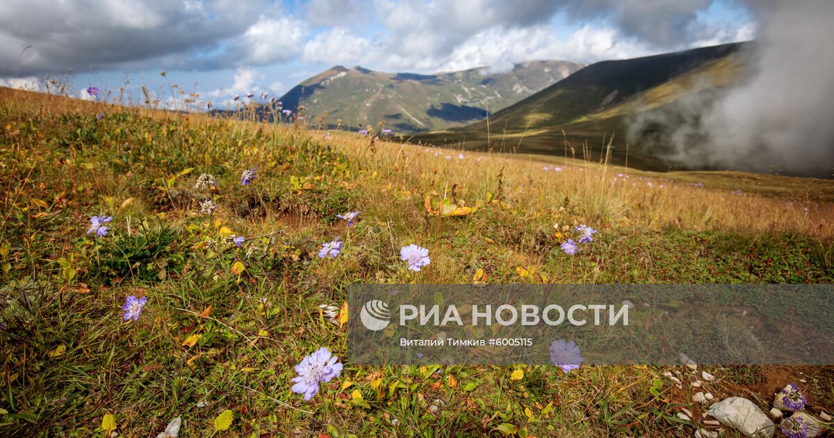 Кавказский заповедник Лагонакское Нагорье