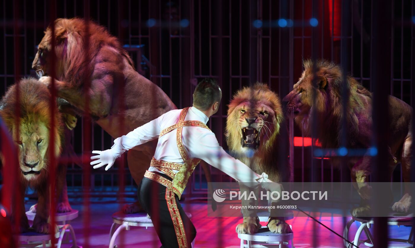 Открытие всемирного фестиваля циркового искусства "Идол"