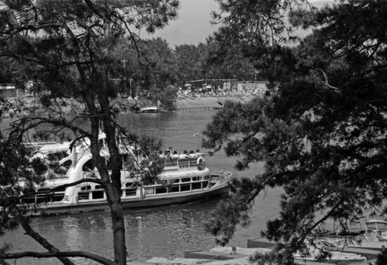 Пляж в Подмосковье