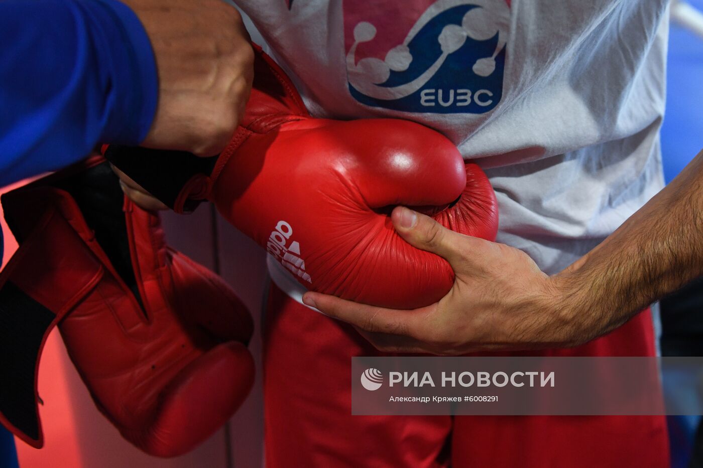Бокс. Чемпионат мира. Мужчины. Тренировка сборной России
