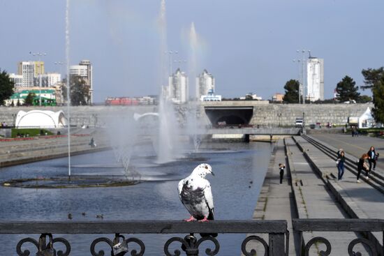 Повседневная жизнь 