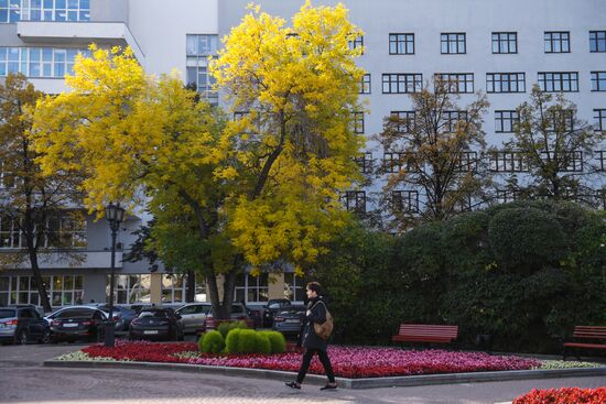 Повседневная жизнь 