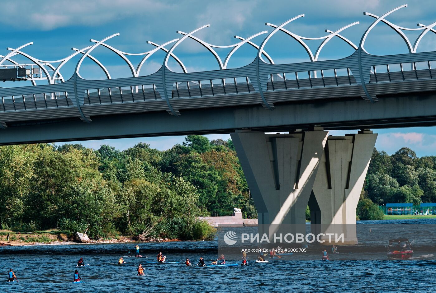 Заплыв на сапсерфах с домашними животными в Санкт-Петербурге