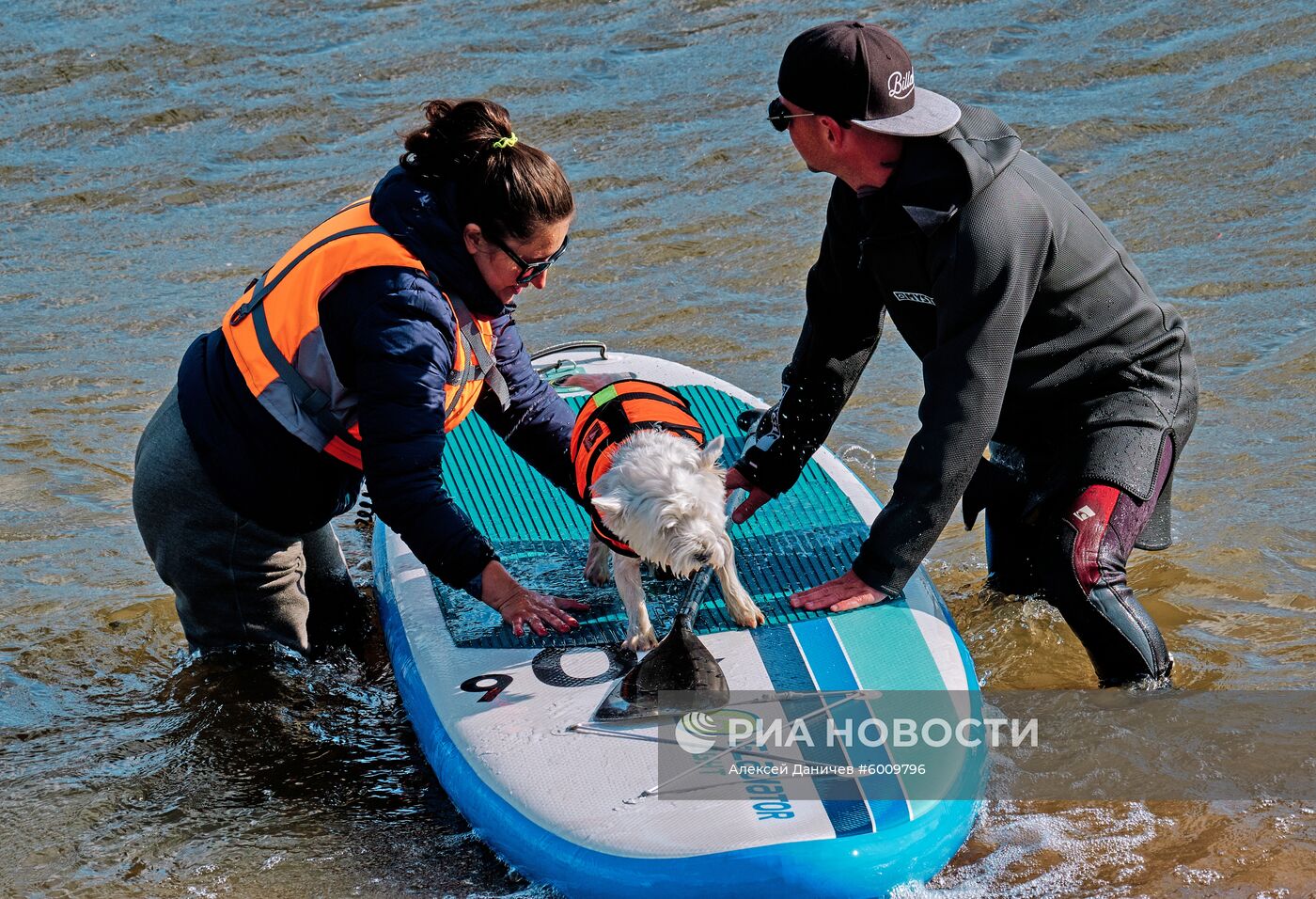 Заплыв на сапсерфах с домашними животными в Санкт-Петербурге