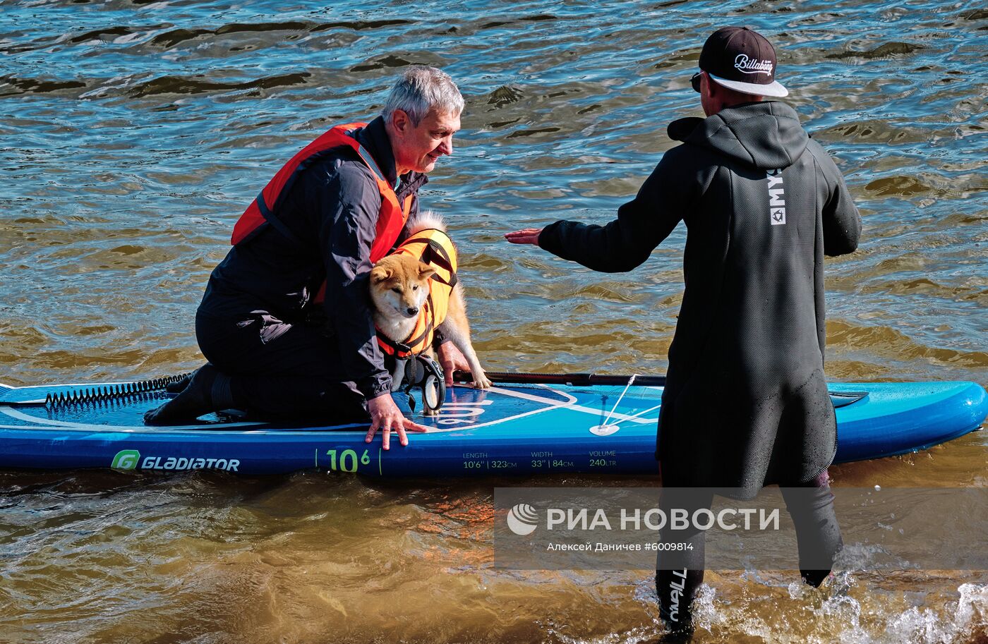 Заплыв на сапсерфах с домашними животными в Санкт-Петербурге