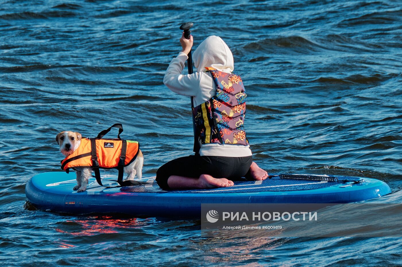 Заплыв на сапсерфах с домашними животными в Санкт-Петербурге