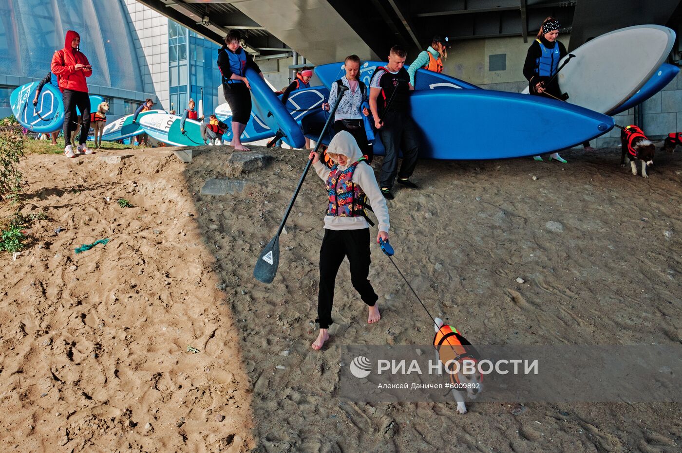 Заплыв на сапсерфах с домашними животными в Санкт-Петербурге