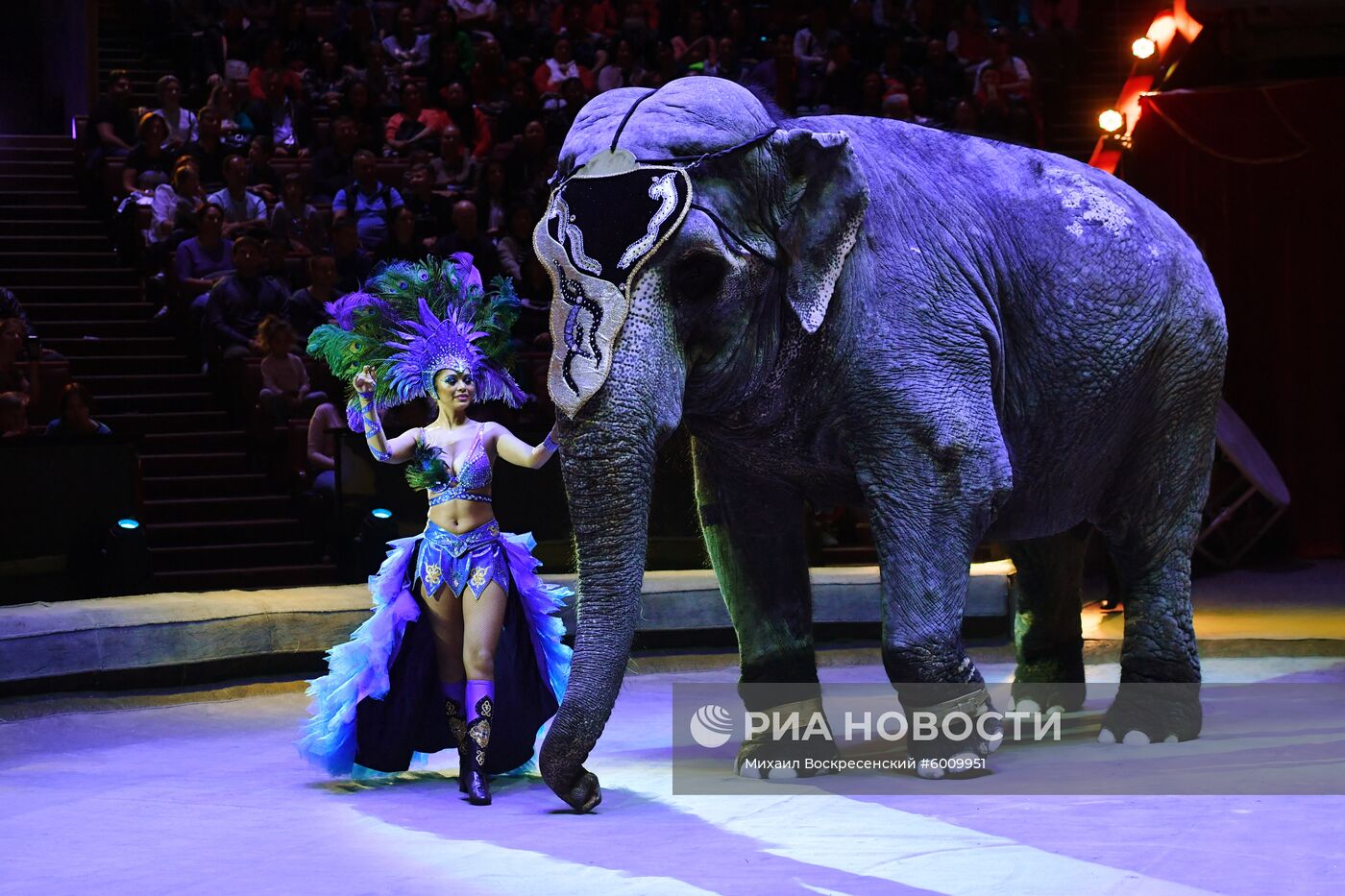 Всемирный фестиваль циркового искусства "Идол"