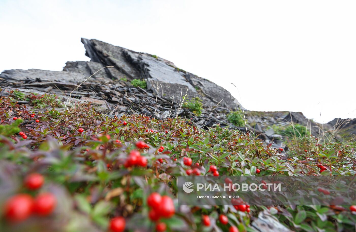 Регионы России. Мурманская область