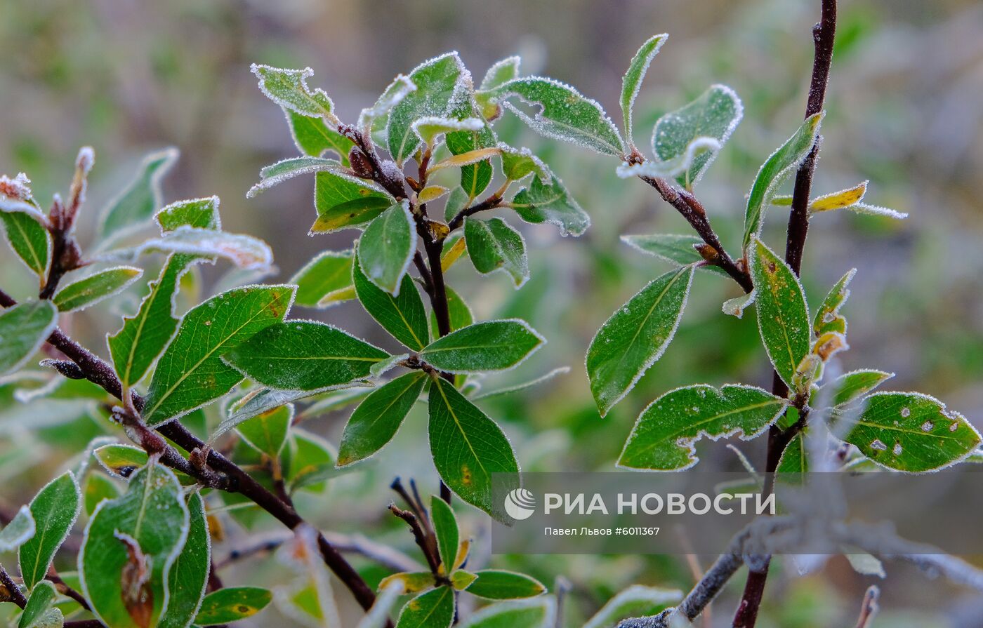 Регионы России. Мурманская область