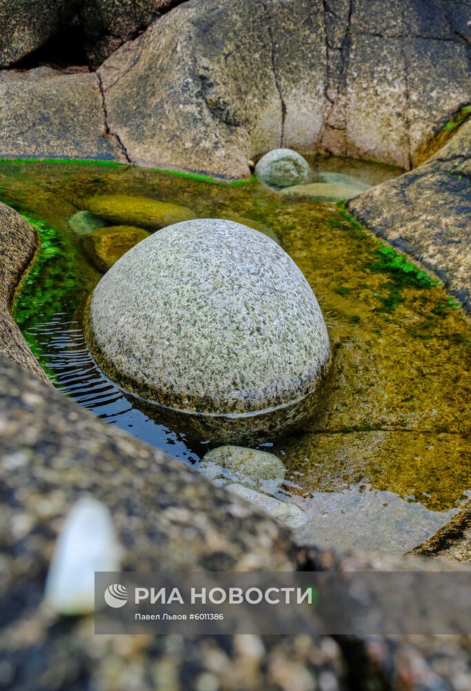 Регионы России. Мурманская область