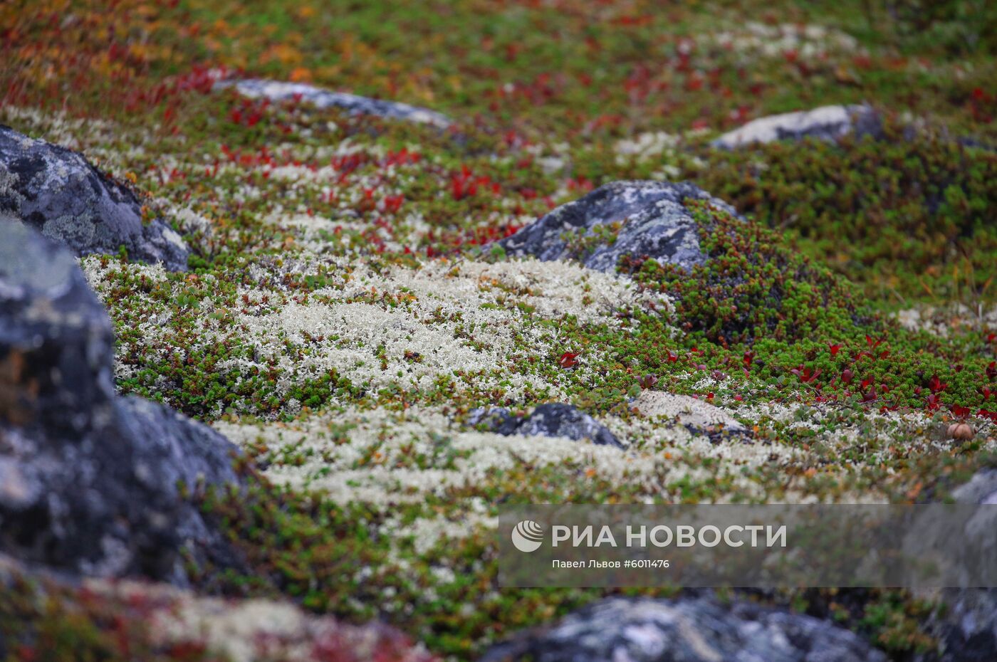 Регионы России. Мурманская область