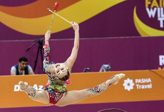 Художественная гимнастика. Чемпионат мира. Третий день