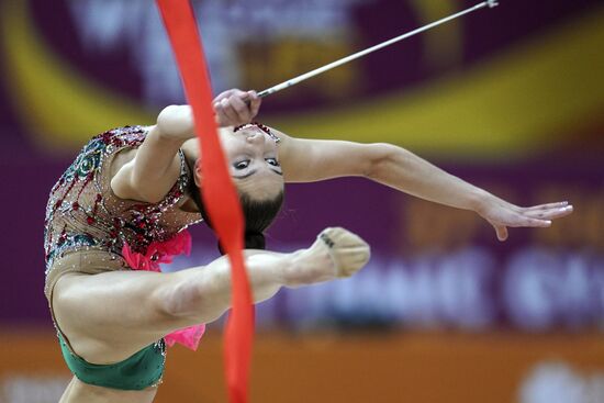 Художественная гимнастика. Чемпионат мира. Третий день