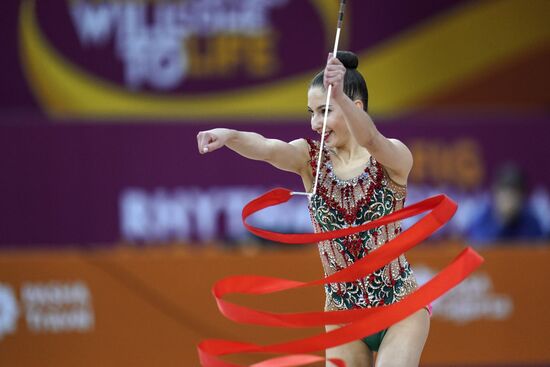 Художественная гимнастика. Чемпионат мира. Третий день