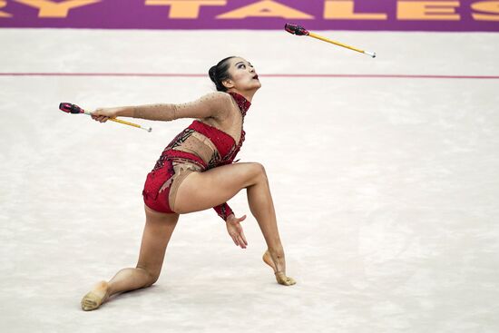 Художественная гимнастика. Чемпионат мира. Третий день