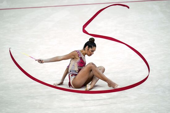 Художественная гимнастика. Чемпионат мира. Третий день