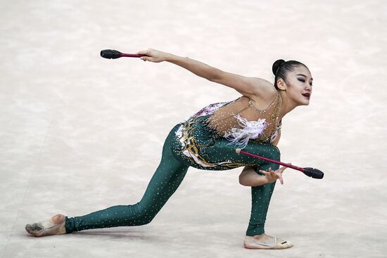 Художественная гимнастика. Чемпионат мира. Третий день