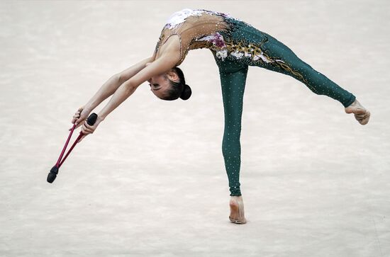 Художественная гимнастика. Чемпионат мира. Третий день